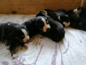 IMG-20191123-WA0001.jpg