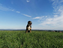 obrázek_2021-07-14_144332.png