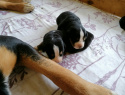 IMG-20191123-WA0002.jpg