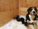 IMG-20191124-WA0006.jpg